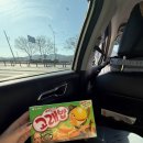 동부산주유소 | 경주 감산사 12월 휴식형 후기! 동물들이 귀엽고 친절하신 곳에서 도닦기.. (시설,날씨,식사,프로그램...