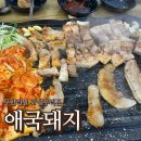사하구 하신번영로201번길 | 부산 사하구 맛집: 부산 무한리필 1등 애국돼지 후기