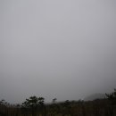 에로스파크 이미지