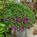 김천화장장 이미지