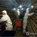 김미경농장 이미지