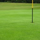 탑스크린골프존 이미지