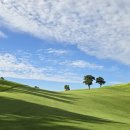 화서주공공인중개사사무소 | 조례동공인중개사 믿고 맡길 수 있는 송천부동산 후기