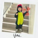 삼육두유포항대리점 | 12월일상-1 이라고 쓰고 11월도 섞여있는 그런..