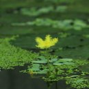 신구대학교 이미지