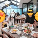 더샬레[THE CHALET]