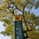 미성영어수학