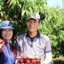 은희농장 이미지