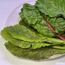 대영농원 | e경남몰 경상남도 특산물 먹거리 무농약 쌈채소 토마토 반건조오징어 주문 후기