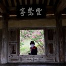 (주)영남지오영대구지점 | [대구 7월 여행] 여름날의 낙원, 달성군 배롱나무 명소 3곳 솔직 후기 (하목정·육신사·삼가헌)