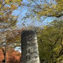 담빛음악당 무료 영화 상영 | 담양 가볼만한곳 전남 단풍명소 담양 관방제림 실시간 후기