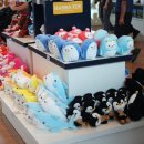 경포아쿠아리움박물관 이미지