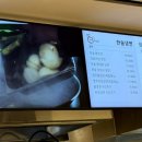 목동냉면·돈까스 이미지