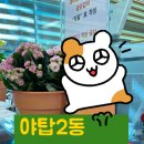 야탑2동행정복지센터 이미지