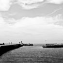 제주 올레길 15코스 B 이미지