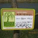 가족나무 이미지