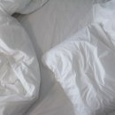 에이펜션(A펜션) 이미지