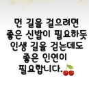 비트님~~ 이미지