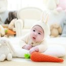 딸기쨈스튜디오