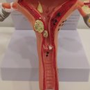 부암한의원 이미지