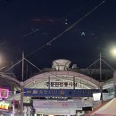강릉 주문진 현지인 가성비 횟집 강원수산포차 내돈내산 후기
