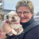 단비 주유소 이미지