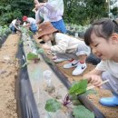 정안이네 이미지