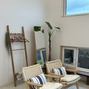 평대이락 이미지