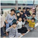 무한태권도장 이미지