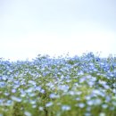 평강공주 이미지