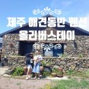 올리버 스테이 | 제주 애견동반 남원읍 독채펜션 올리버스테이 대형견 가능