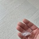 씨유포항대방엘리움점 | 포항북구 이사청소, 펜타시티 대방 엘리움 반려동물 특수청소부터 냉장고 청소·발코니 곰팡이 제거까지...