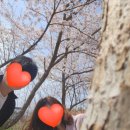 진원면주민자치센터 이미지