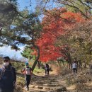 연미동산 | 청주 상당산성 아이랑 갈만한곳, 산성 맛집 송학정 백숙 &amp; 동문집