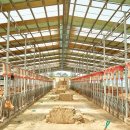 안흥목장 이미지