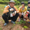 하늘닿은더덕마을영농조합법인 | 정선군, 2015년 6월18일 정선더덕 생산 및 수급 협약식개최