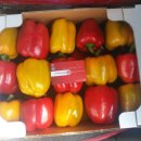 인하농장 이미지