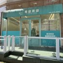 J 애견 미용 | 목포 애견 미용실 [몽글몽글] 말티즈 미용후기