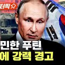 하룻강아지 이미지