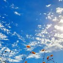 옛날옛적에 이미지