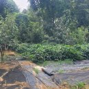 거리농장 이미지