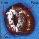 굿닥터동물병원 이미지