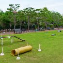 메르벨르B 이미지