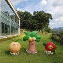 왕궁온천회관 | 33개월 아기랑 💚전남 화순군 1박 2일 여행