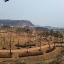 조성1