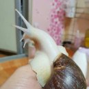 이숙재농장 이미지