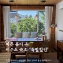 제주코기네 이미지