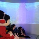 독도체험관 이미지