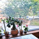 지금여기카페샵 이미지