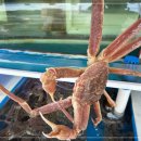 빙빙닷컴 이미지